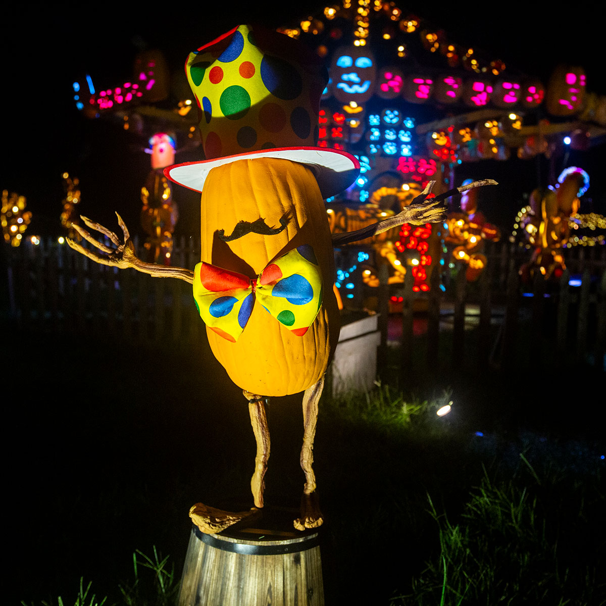 Pumpkin carnival man