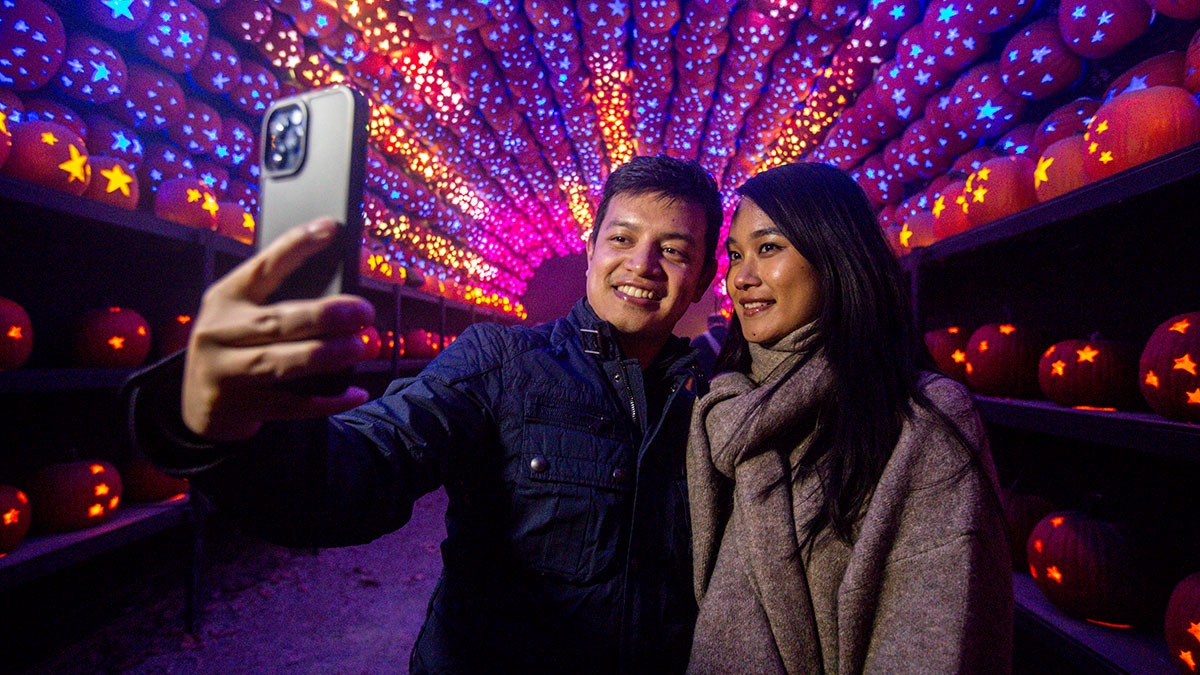 Man and woman under pumpkins