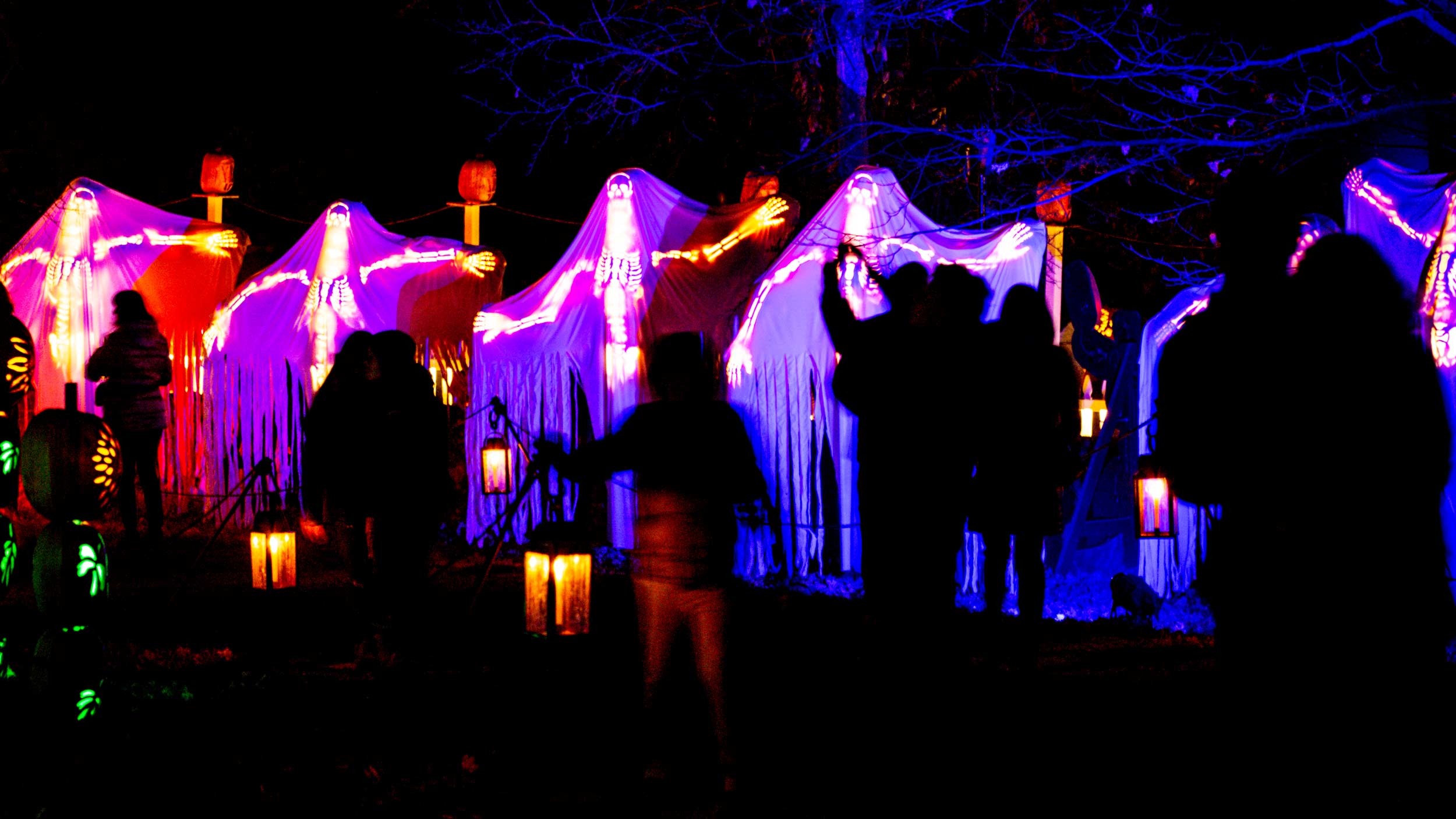 Plan Your Visit - The Great Jack O'Lantern Blaze